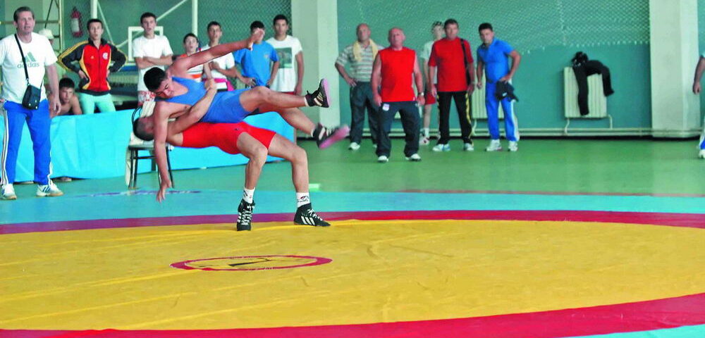 SECRETARUL GENERAL AL FEDERAŢIEI ROMÂNE DE LUPTE, VASILE PUŞCAŞU: „ROMÂNIA NU E PREGĂTITĂ PENTRU DESCENTRALIZARE“